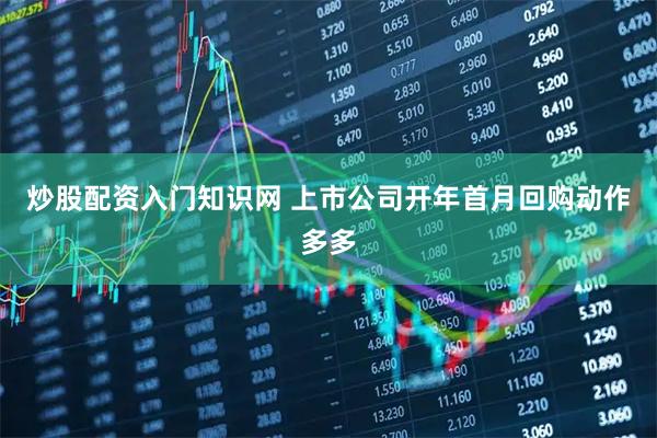 炒股配资入门知识网 上市公司开年首月回购动作多多