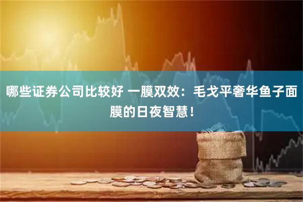 哪些证券公司比较好 一膜双效：毛戈平奢华鱼子面膜的日夜智慧！